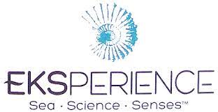 Eksperience